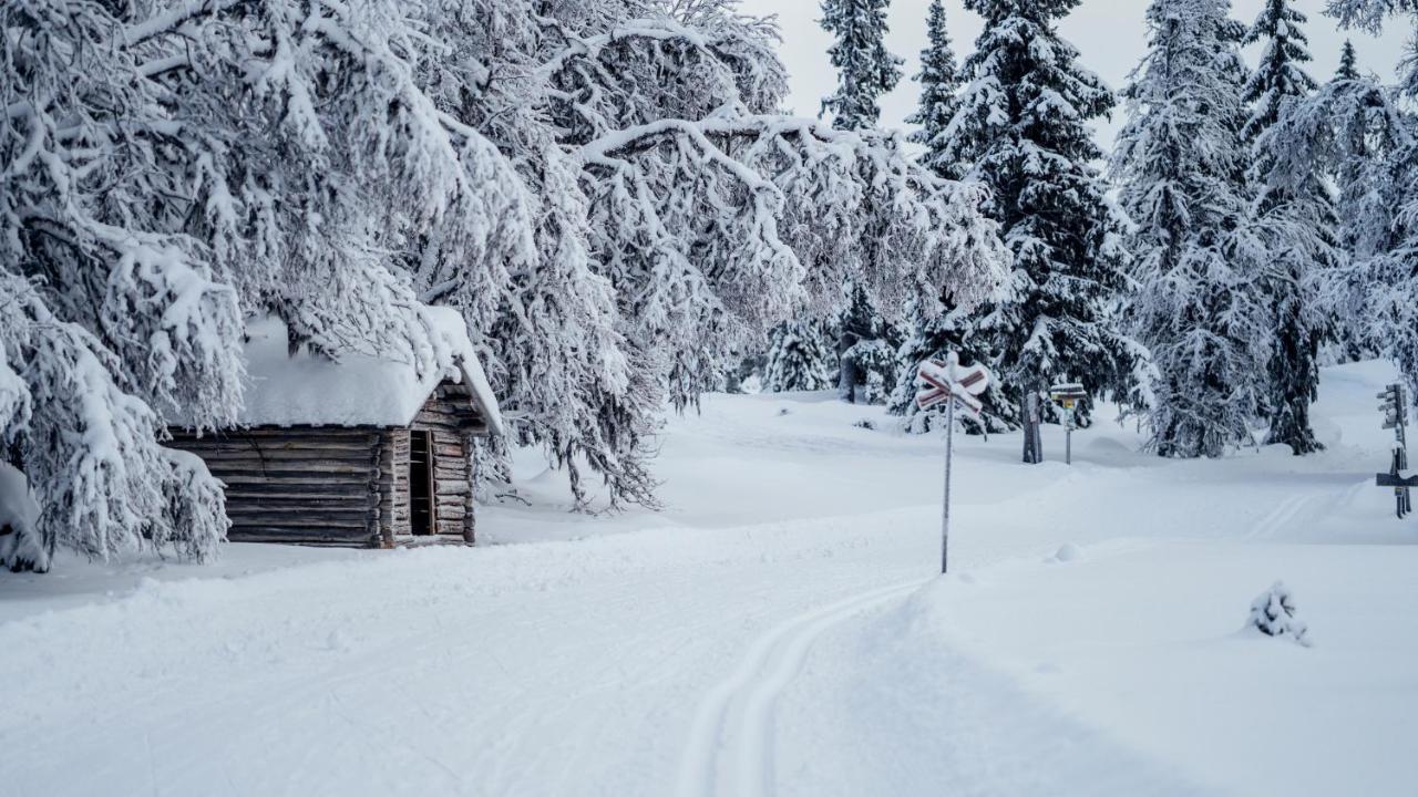 Loevasgardens Fjaellhotell Lovasen Exteriér fotografie