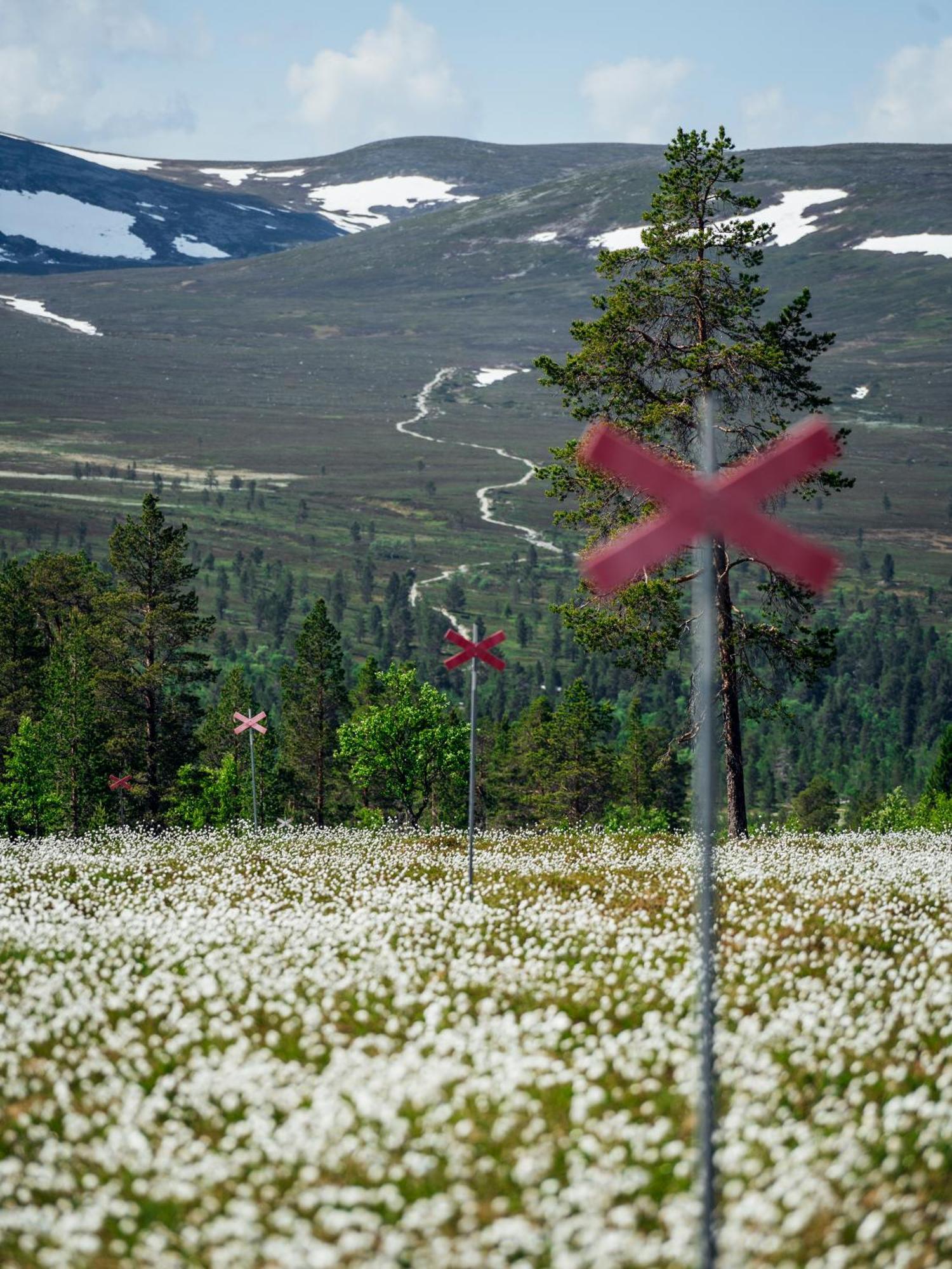 Loevasgardens Fjaellhotell Lovasen Exteriér fotografie